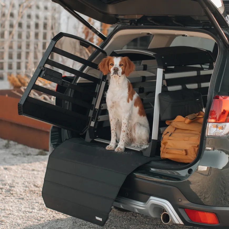 Thule Allax L