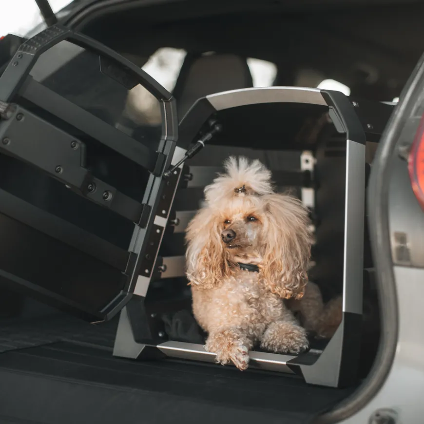 Thule Allax S