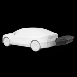 Thule Arcos Box L