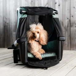 Thule Bexey M
