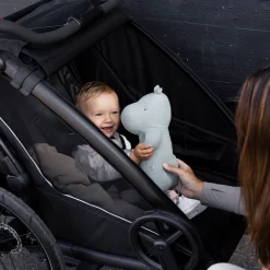 Thule Chariot Sport 2 double jogging Bundle