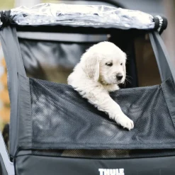 Thule Courier