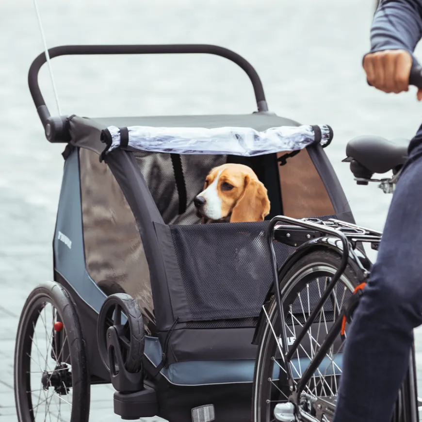 Thule Courier