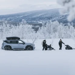 Thule Motion 3 L