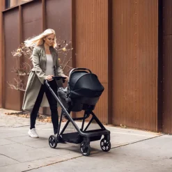 Thule Shine