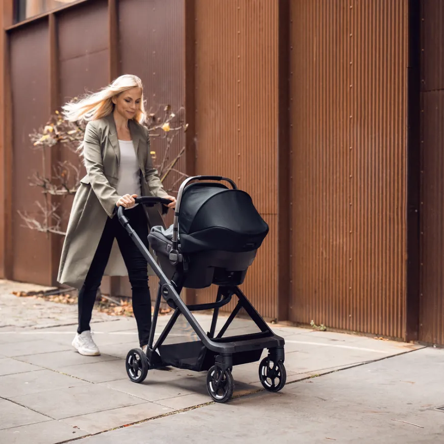 Thule Shine