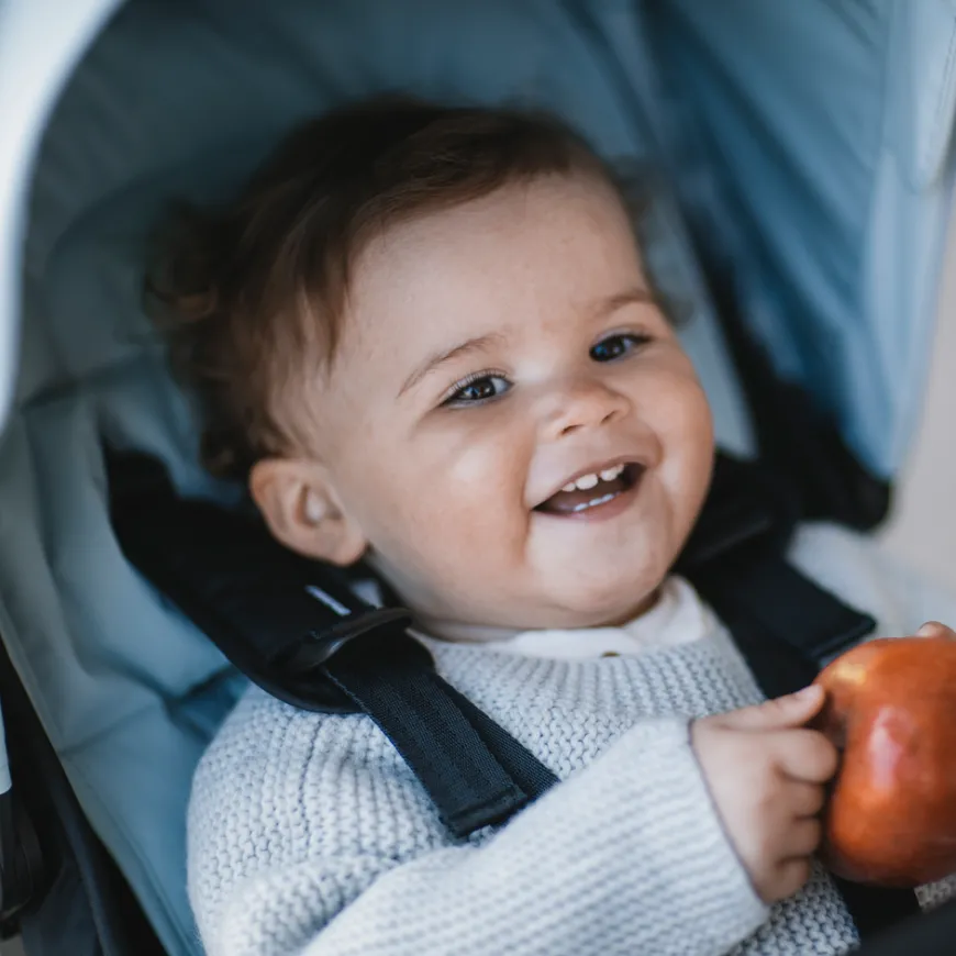 Thule stroller seat liner