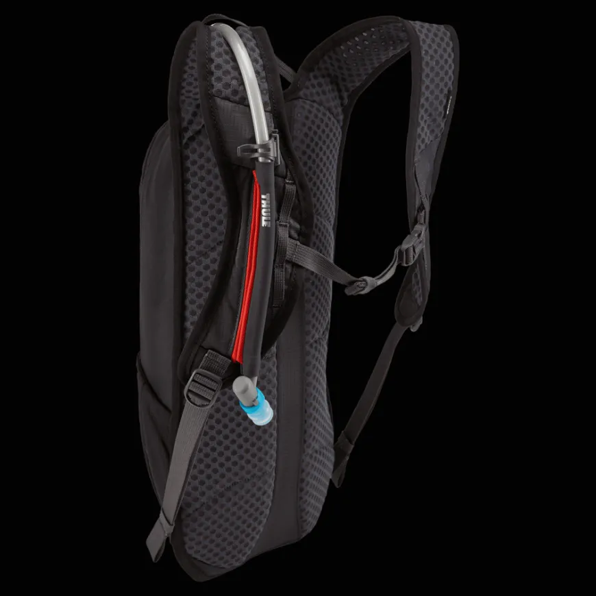 Thule UpTake 4L