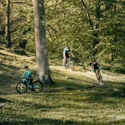 Thule UpTake 4L